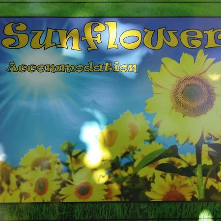Sunflower Accommodation Liubliana Exterior foto